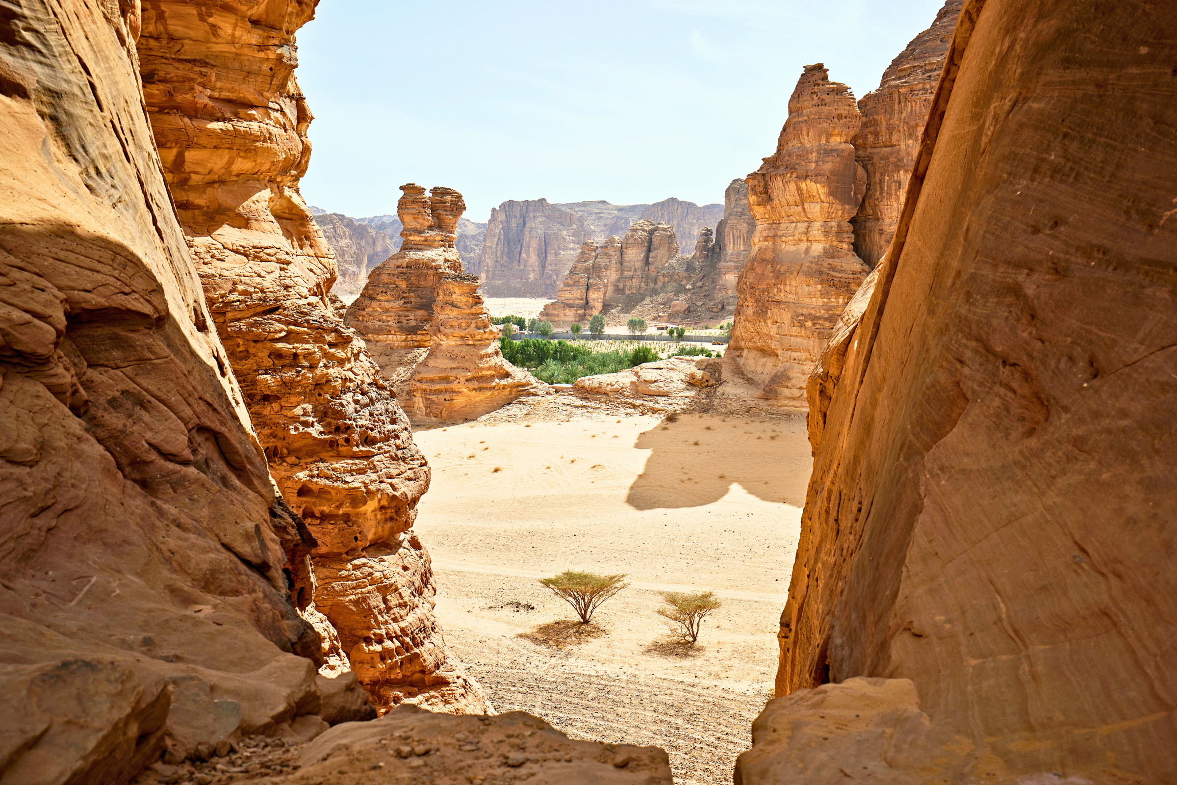 al-'ula (4).webp
